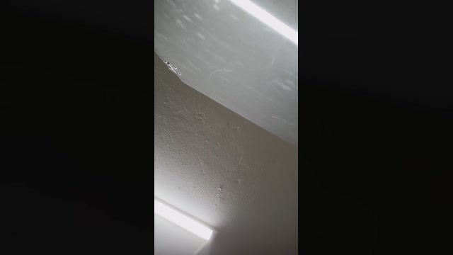 sweet_scarlett_  18-07-2022